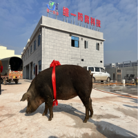 南寧維一新廠開(kāi)業(yè)入伙儀式
